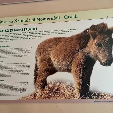 Fattoria Caselli *