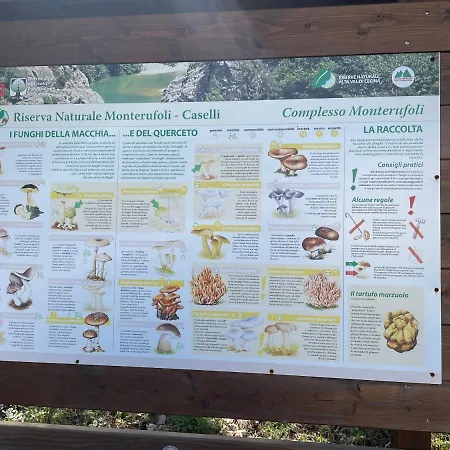 Fattoria Caselli Βίλα Canneto (Pisa)