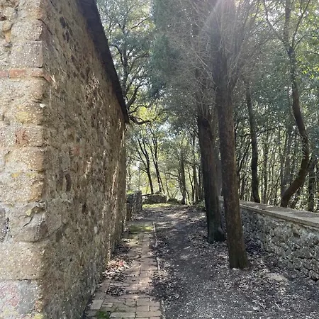 Fattoria Caselli Villa
