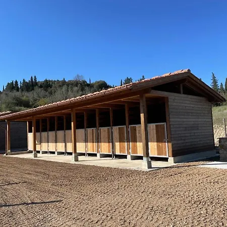 Fattoria Caselli * Canneto (Pisa)